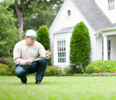 Affordable Lawn Care Maintenance, Chu S Lawn And Landscape Services