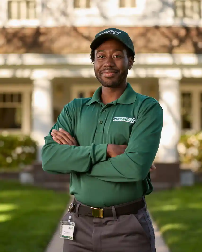 howLawnWorks