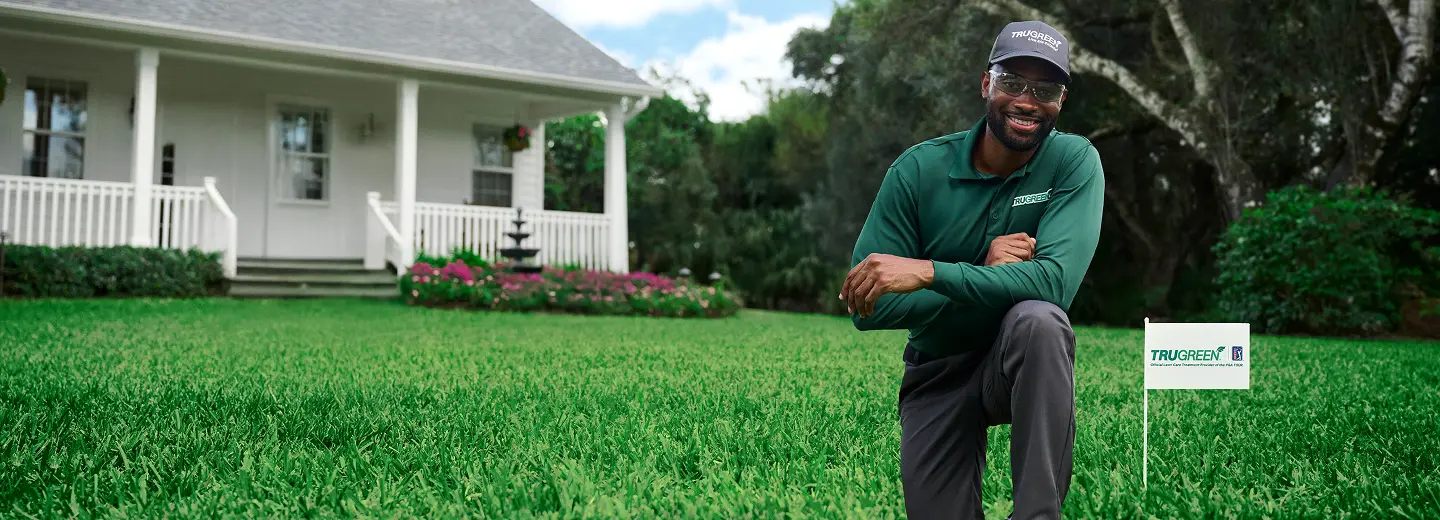 Lawn care hero