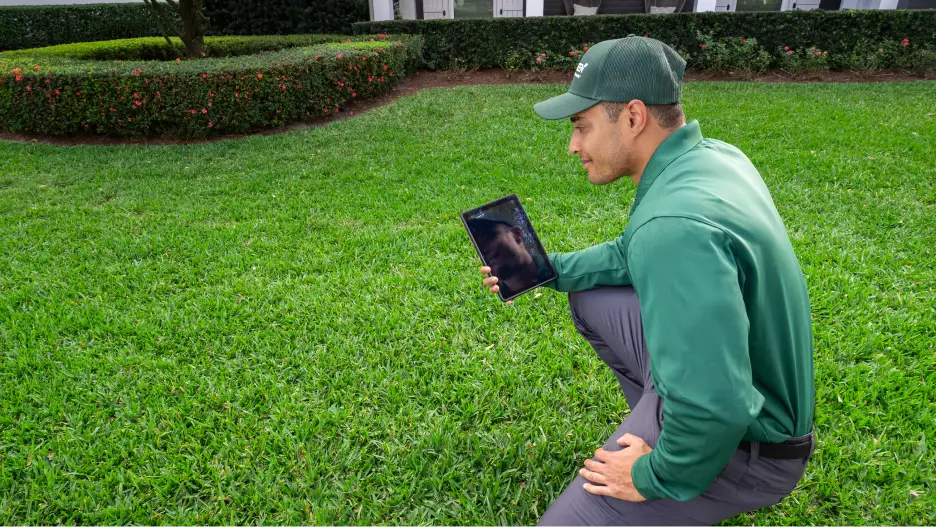 Lawn-Damaging Insect Control for TruCore