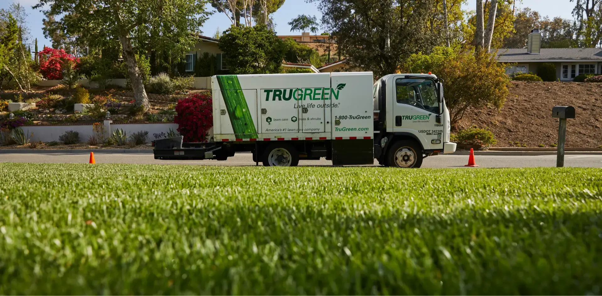 Benefits Section for lawn-disease