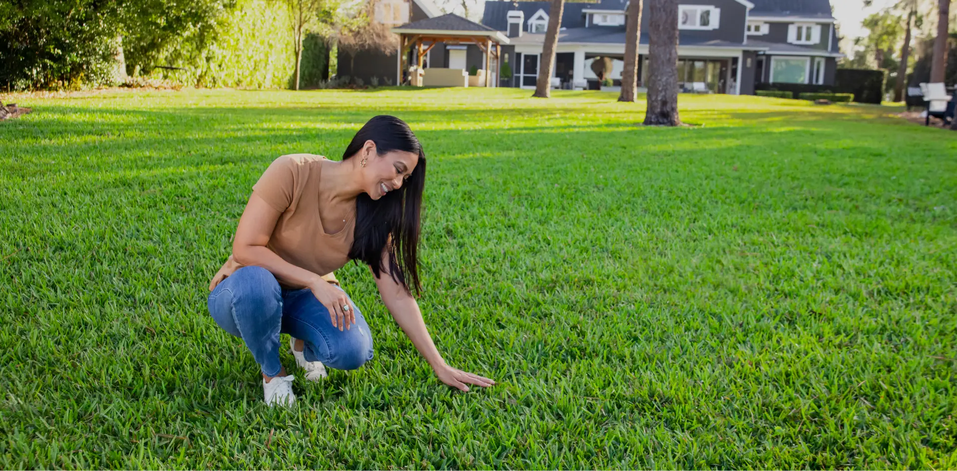 Benefits Section for lawn-fertilization