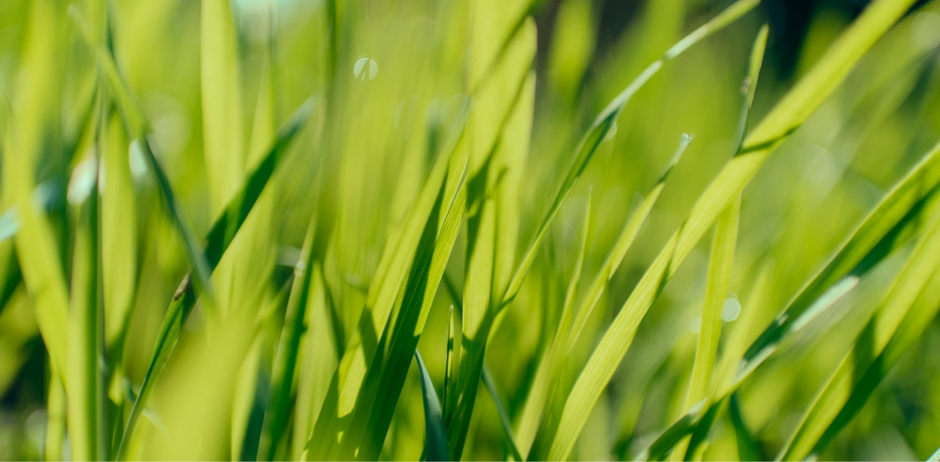 Benefits Section for ph-and-soil-analysis