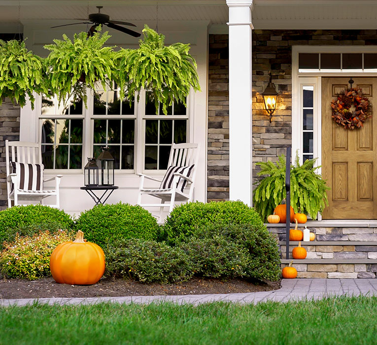 front of house with a lawn and pumpkins - Our Black Friday Sale is here!