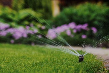 Sprinkler